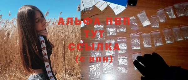индика Переславль-Залесский