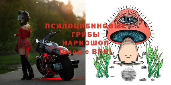тгк Абинск