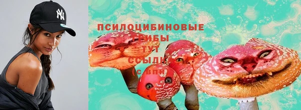 круглые Абаза