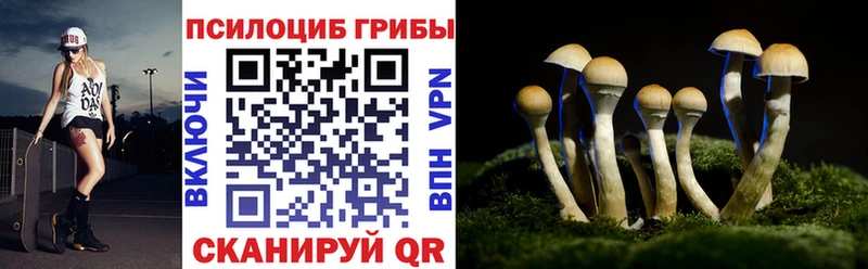Псилоцибиновые грибы Psilocybe Кизляр